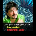 دانلود آهنگ جدید شاهرخ سالار به نام گل گلدون